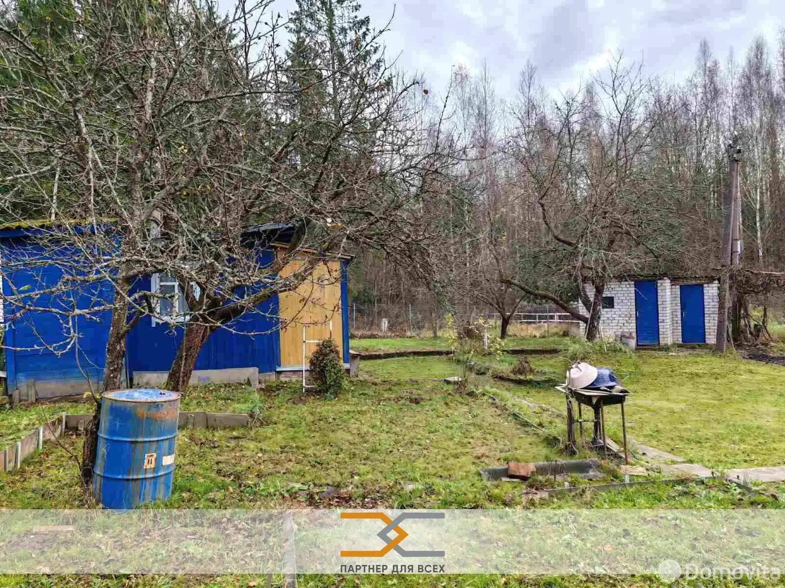 дача, Ромашка Соломореченская,