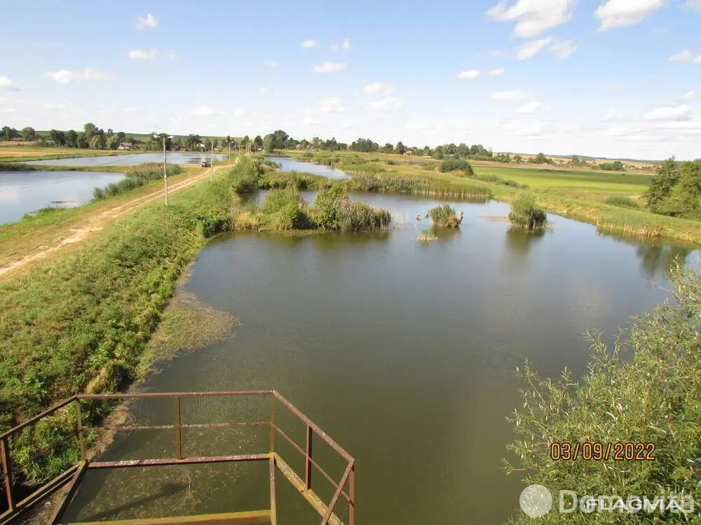 Цена продажи объекта сферы услуг, Новогрудок, ул. Цветная, д. 11