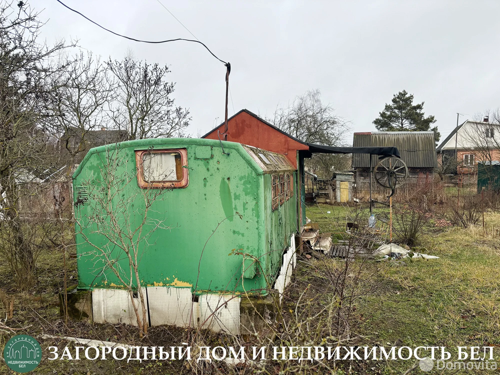 дача, Голубика, 