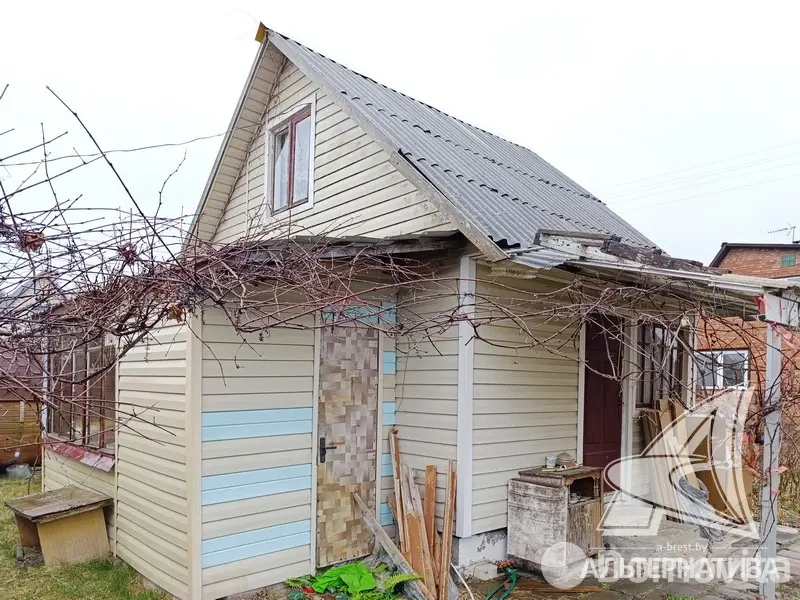 Купить 1-этажную дачу в Здоровье 2008 Брестская область, 15500USD, код 185353 - фото 1