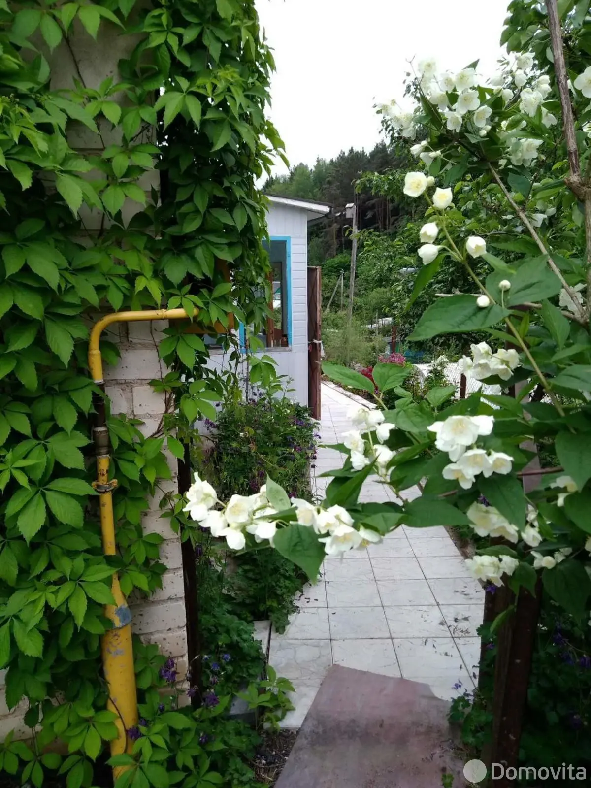 Купить 2-этажную дачу в Витебске Витебская область, 37000USD, код 182735 - фото 13