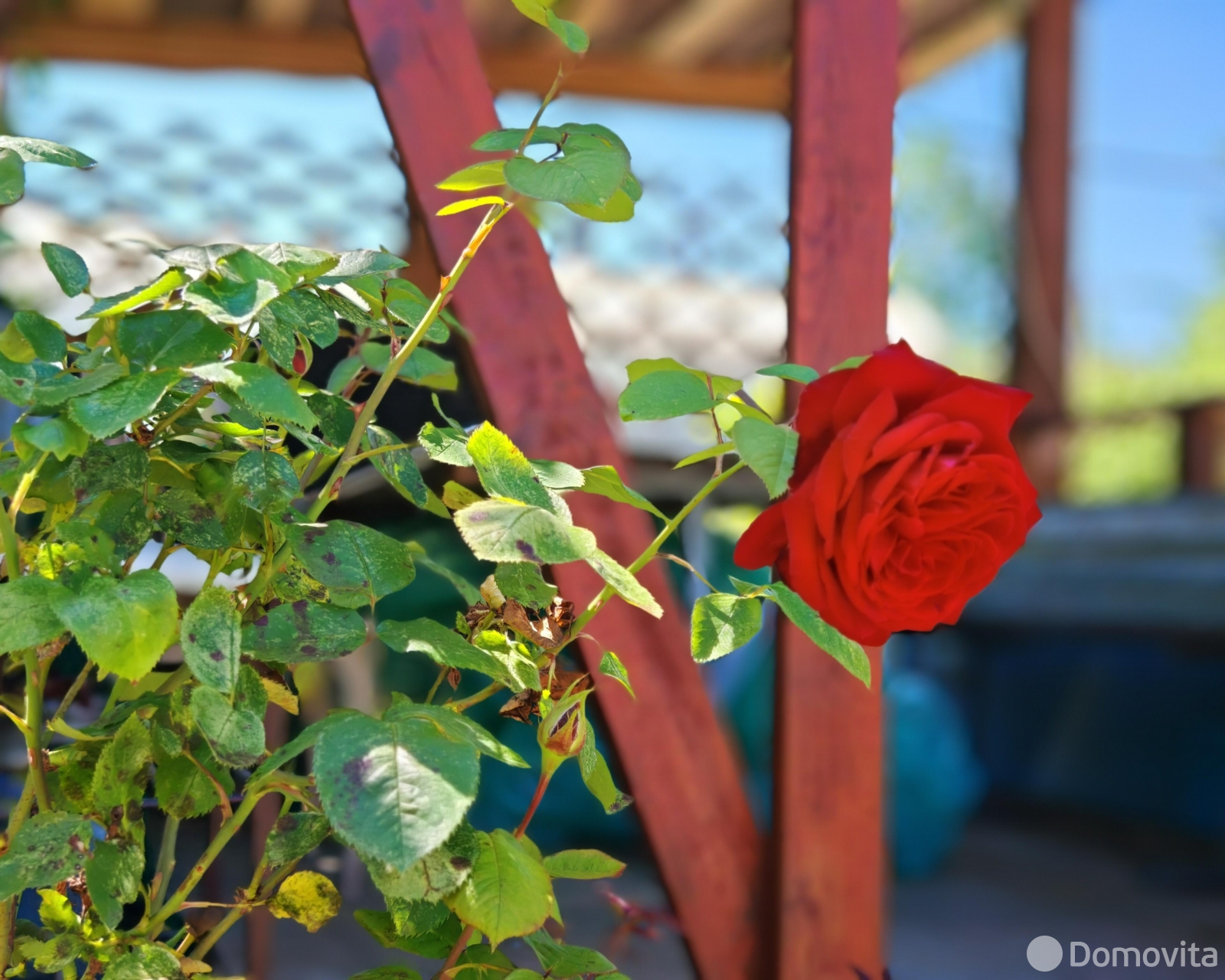 Купить 2-этажную дачу в Лесное-90 Минская область, 35000USD, код 185146 - фото 31