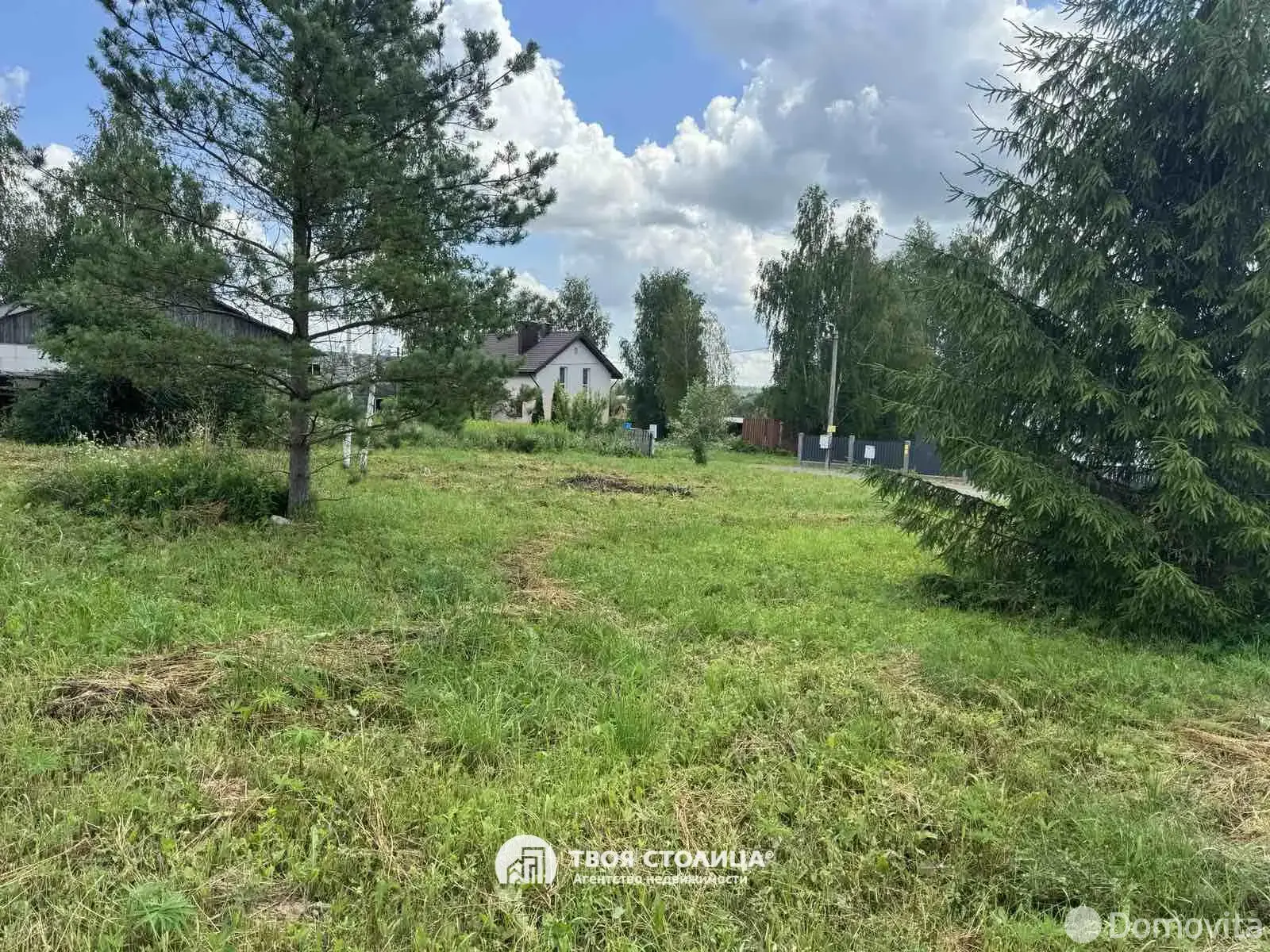 Стоимость продажи участка, Птичь, 