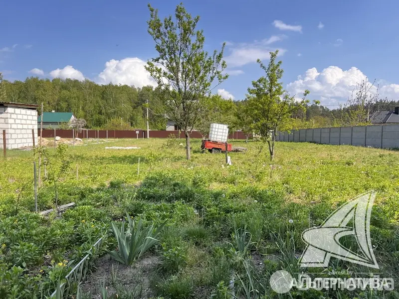 участок, Сосновое-Брест, , стоимость продажи 54 178 р.