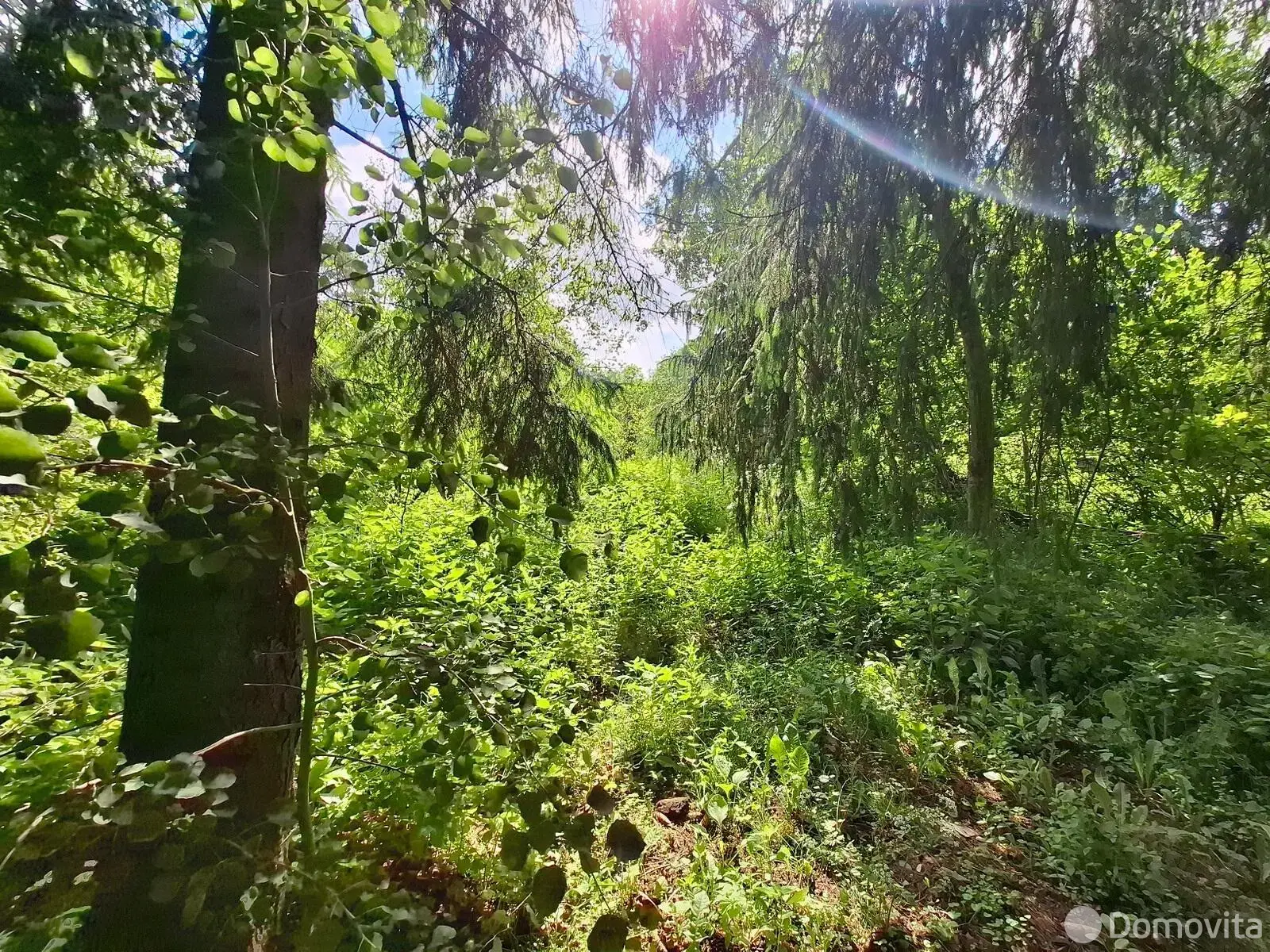 Продажа 2-этажной дачи в Вилия-Лошаны Минская область, 35000USD, код 183365 - фото 30