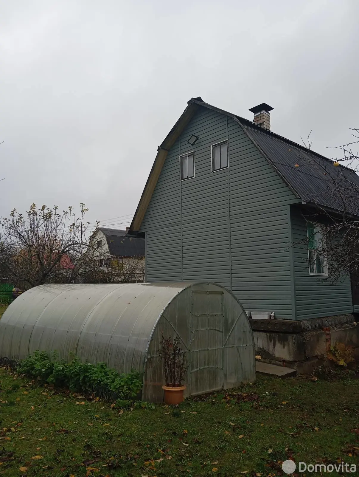 дача, Тюльпан, 