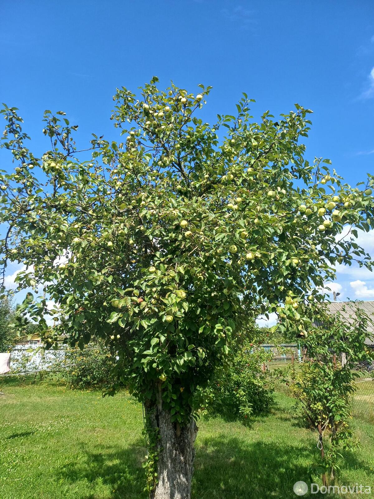 купить дачу, Замостье, 