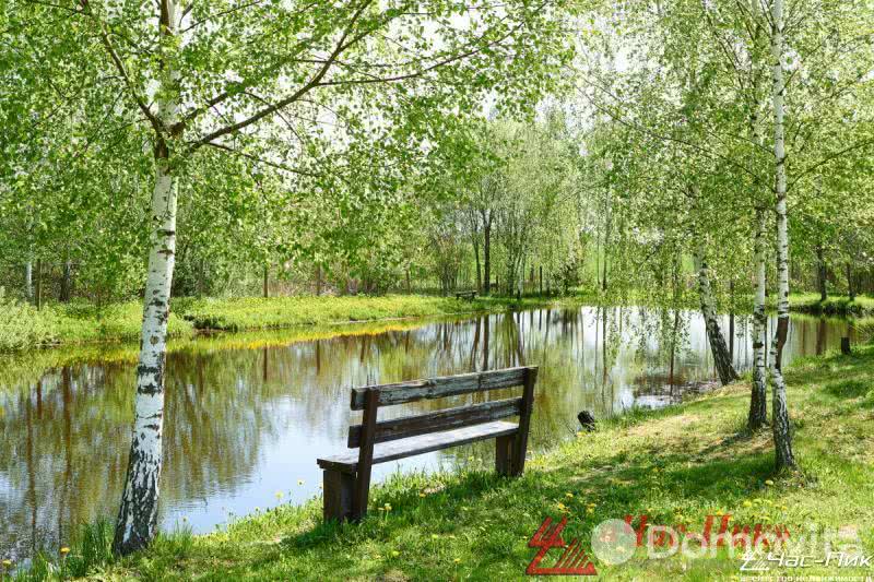 Купить 1-этажную дачу в Лусково Минская область, 260000USD, код 178169 - фото 32