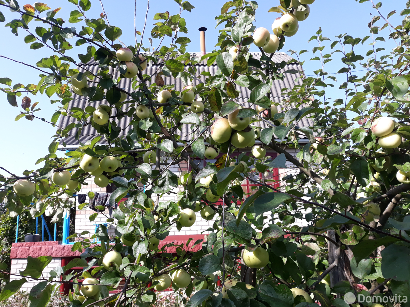 Купить 3-этажную дачу в Волме Минская область, 35000USD, код 183574 - фото 30