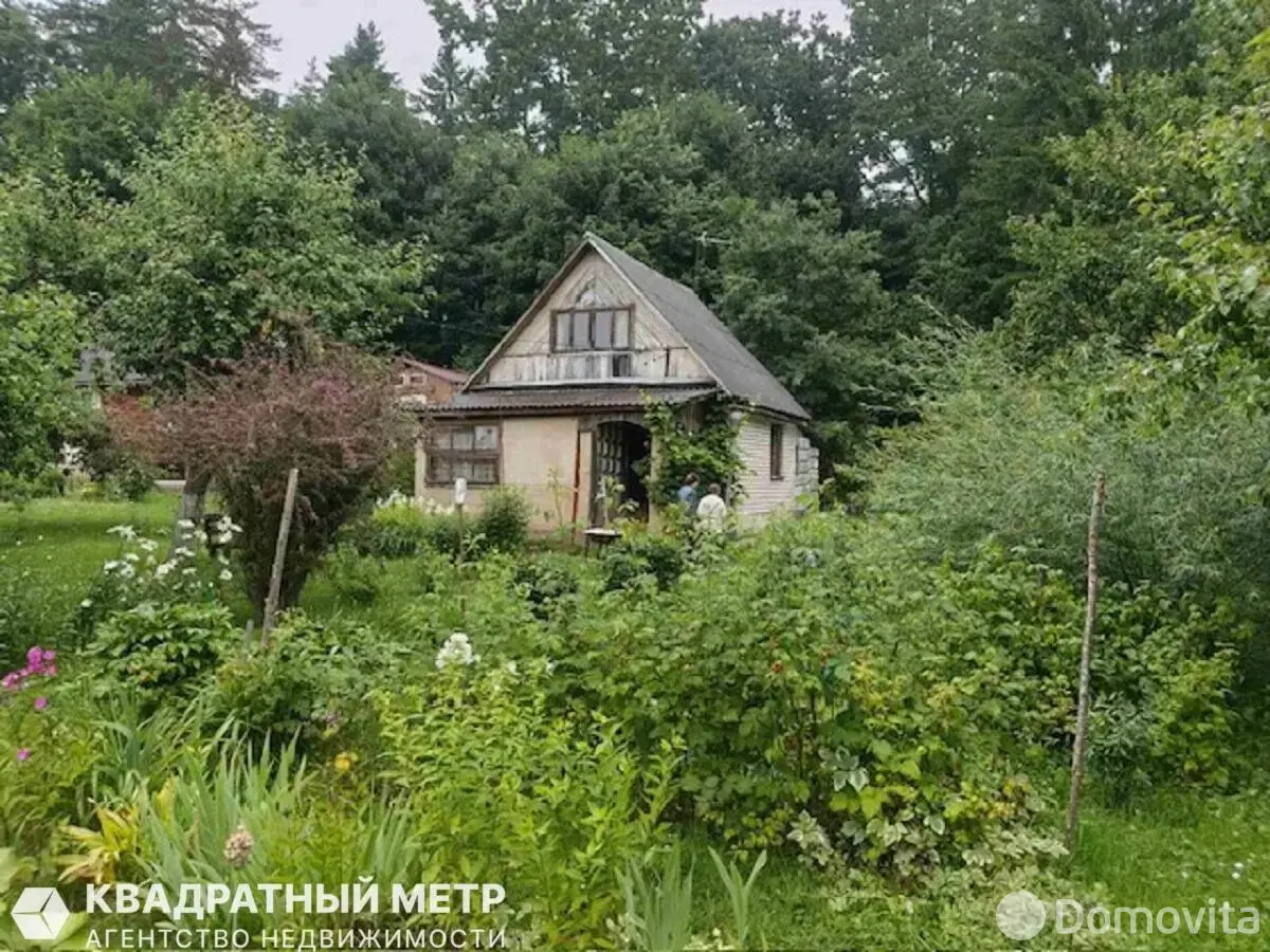 дача, Ель, 