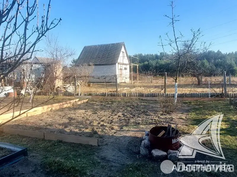 Купить 1-этажную дачу в Меркурий-89 Брестская область, 12350USD, код 185152 - фото 21
