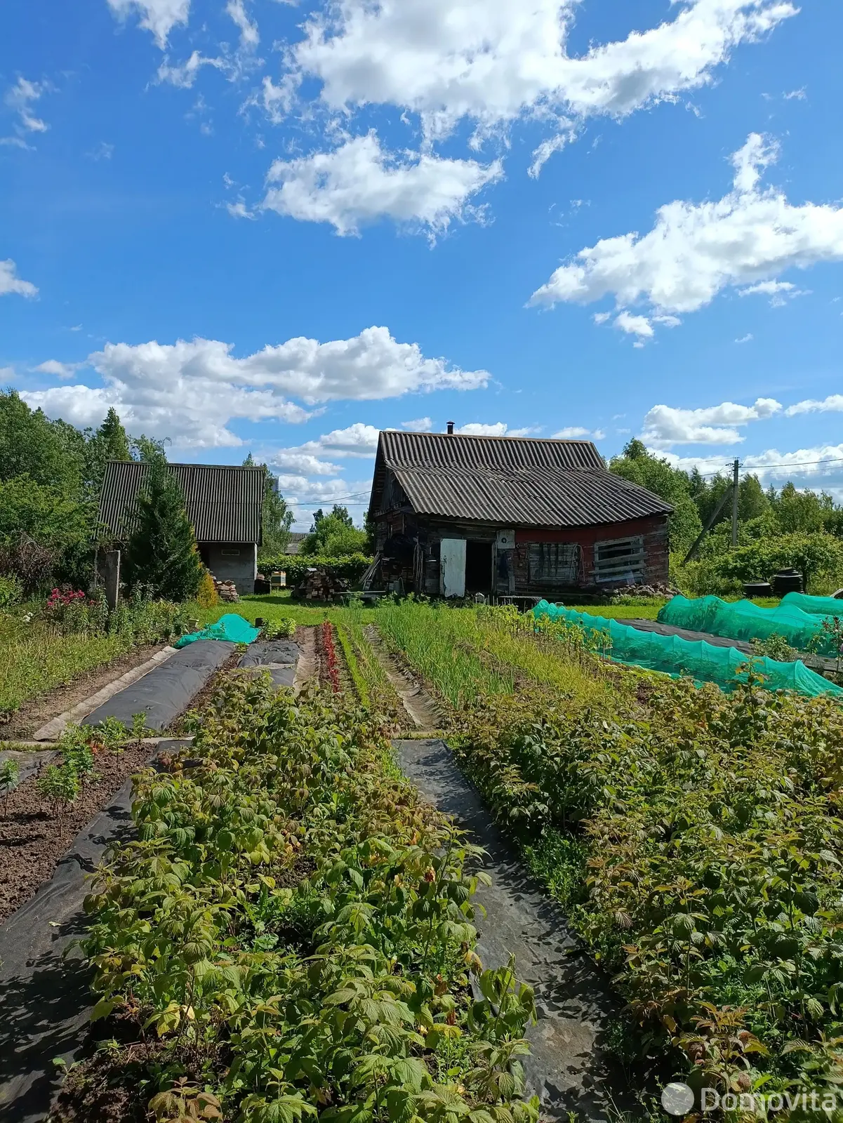 Стоимость продажи дома, Витебск, ул. Греческая