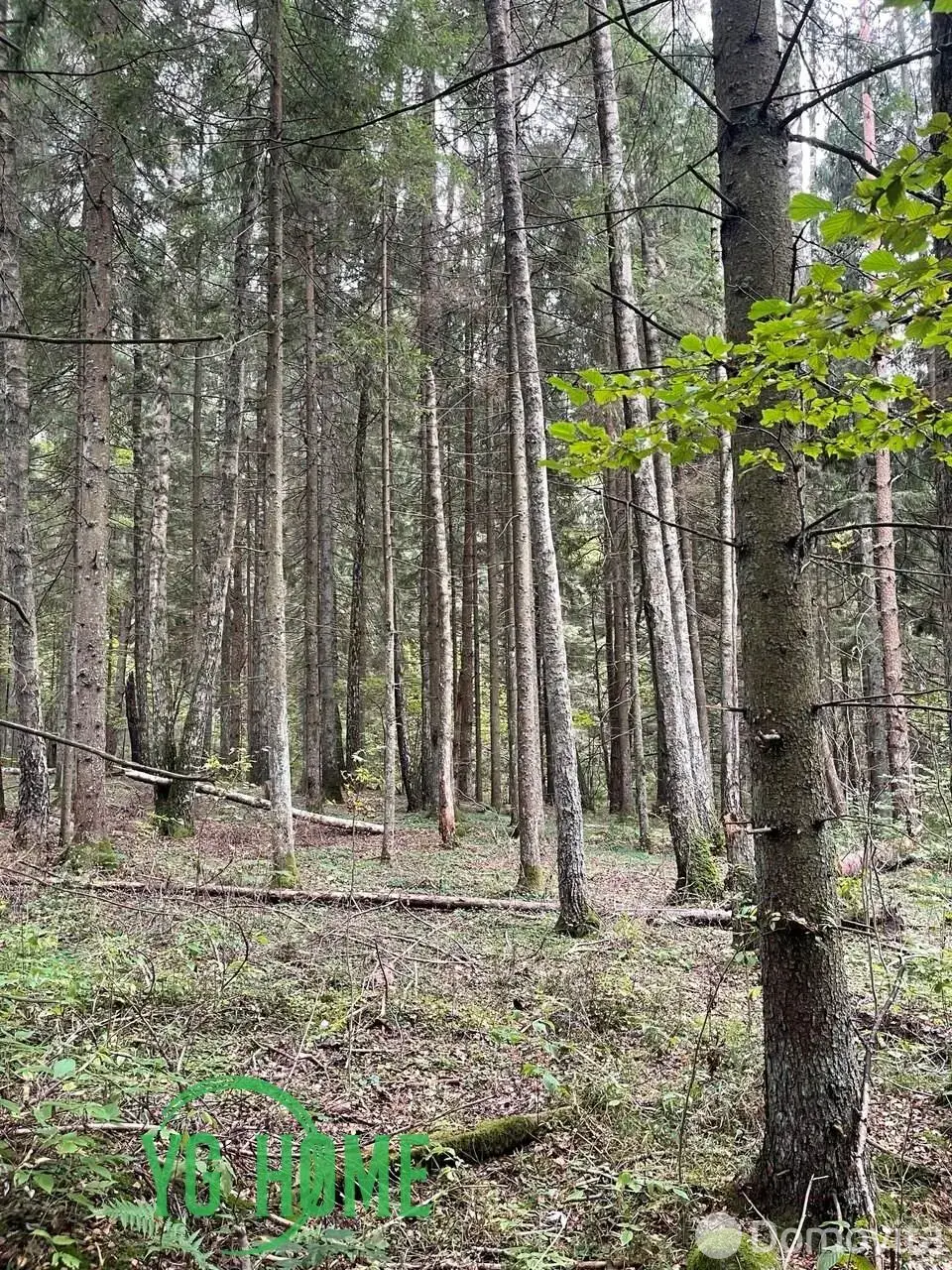 продажа участка, Борщевник, д. 123