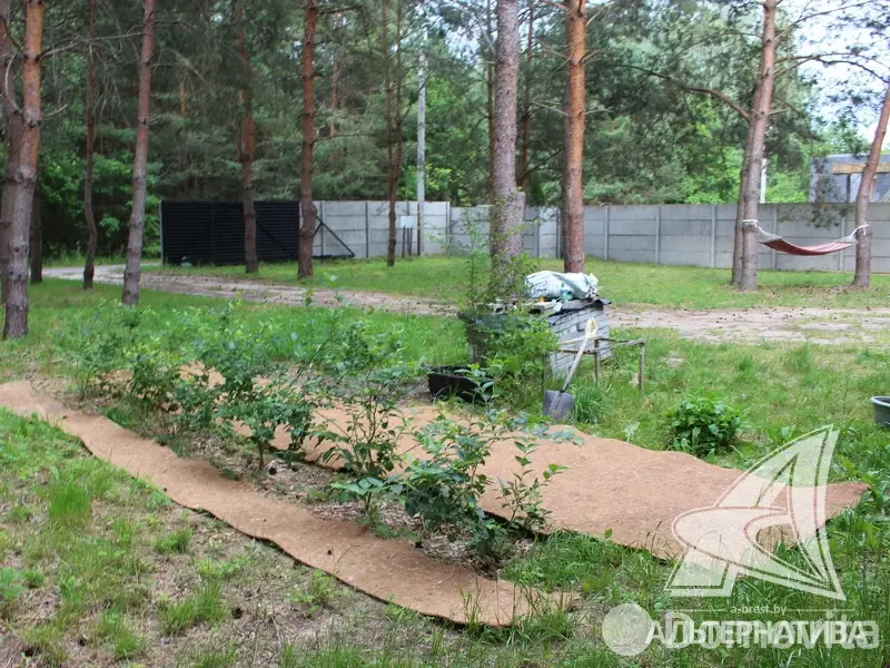 Купить 1-этажную дачу в Амарилис-92 Брестская область, 119000USD, код 177507 - фото 17