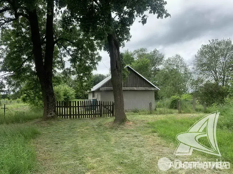 дом, Пелище, 