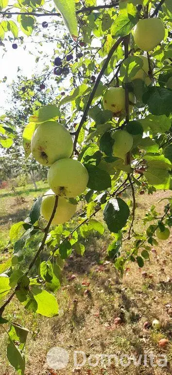коттедж, Нелидовичи, ул. Молодежная, д. 9/А, стоимость продажи 346 450 р.