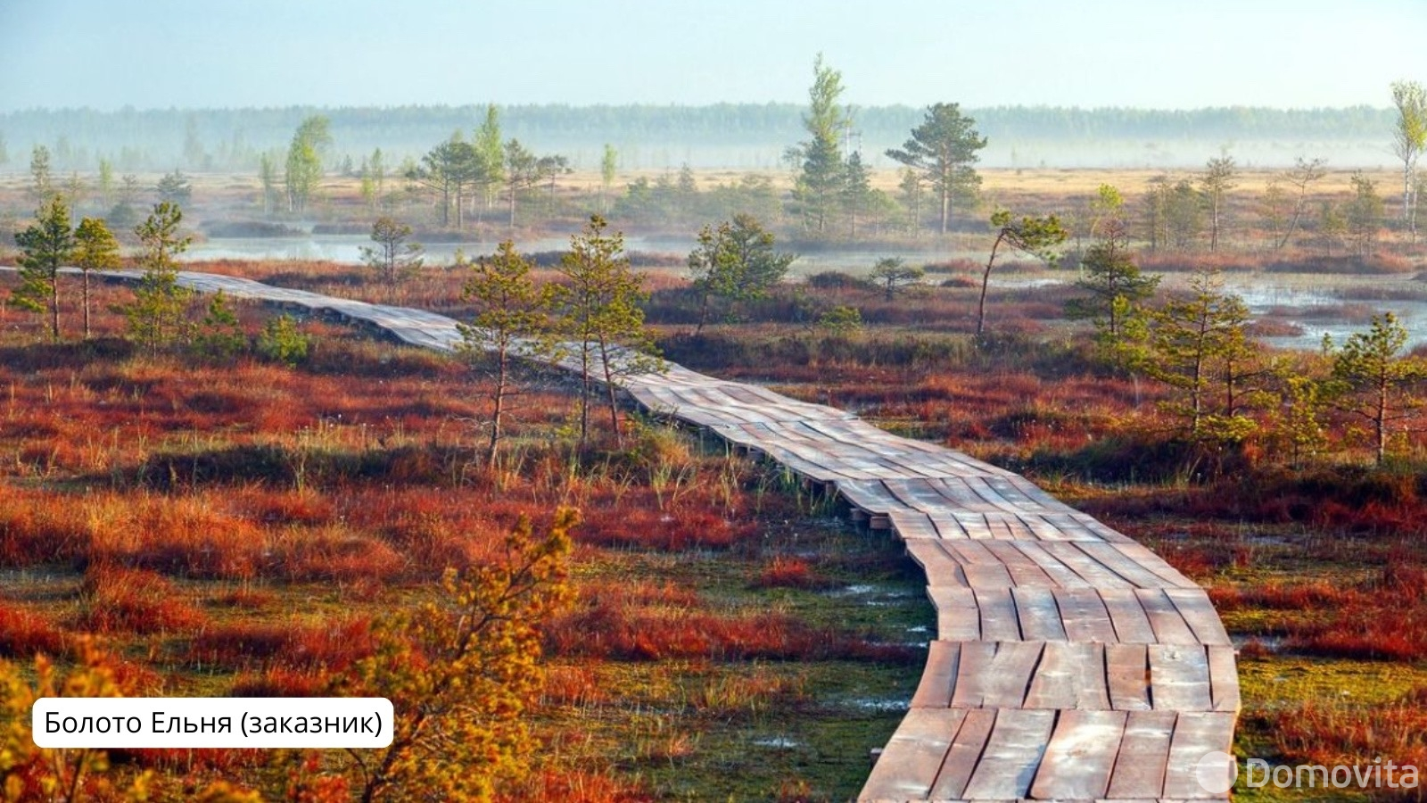 участок, Милашово, ул. Дорожная 