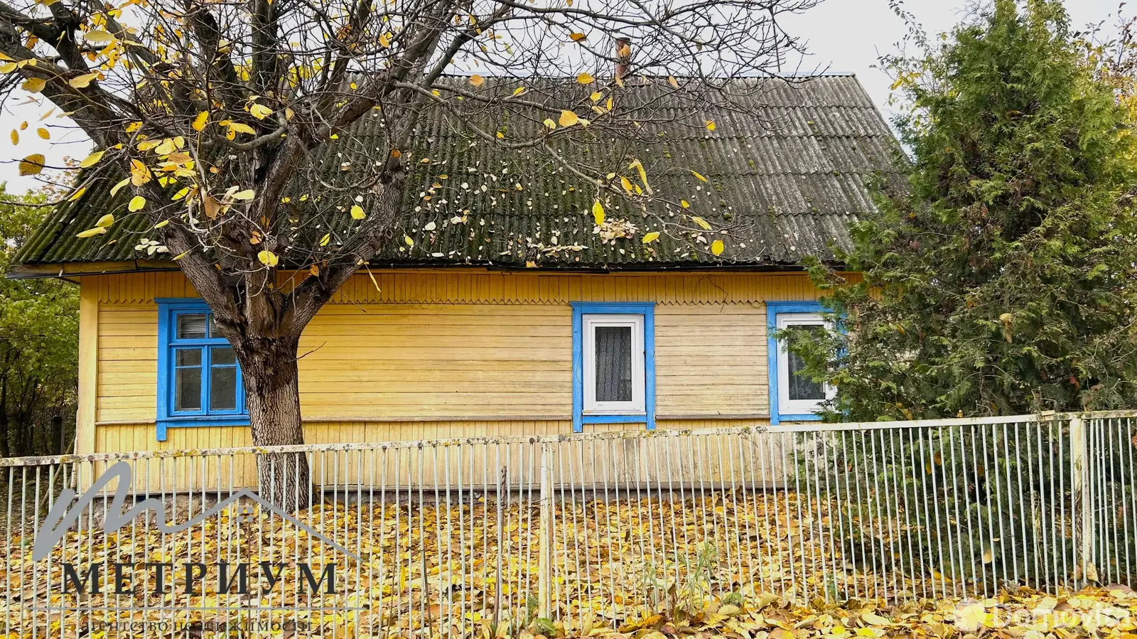 дом, Столбцы, пер. Полевой 