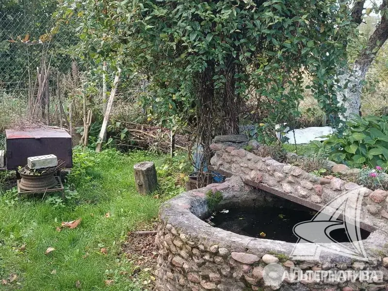 Купить 1-этажную дачу в Тепличка Брестская область, 10500USD, код 184261 - фото 16