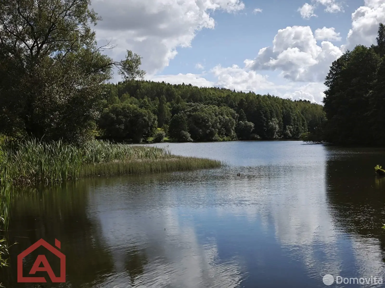 Купить земельный участок, 24.92 соток, Мончаки, Минская область, 54990USD, код 570913 - фото 40