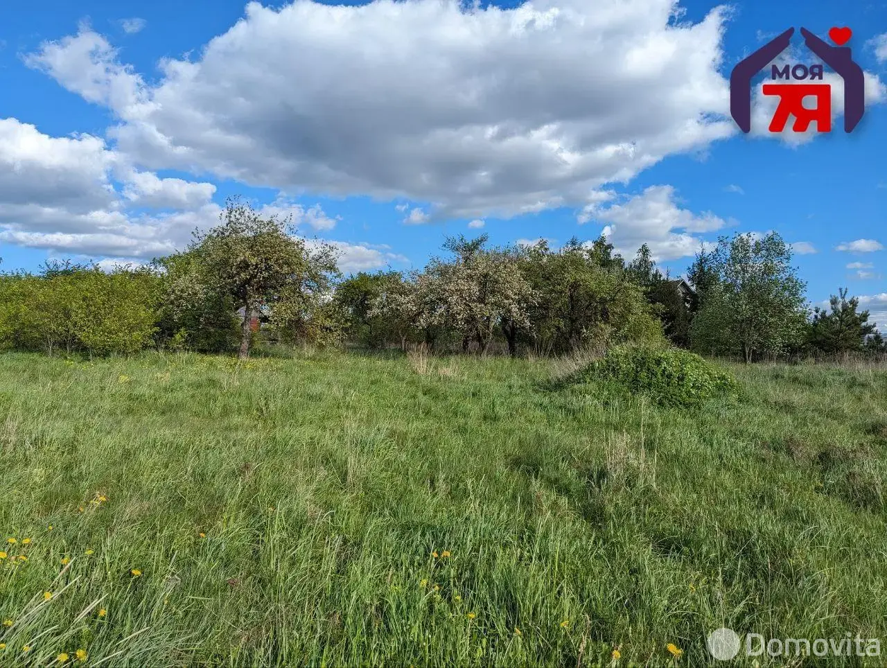 дом, Карпиловка, ул. Центральная, стоимость продажи 99 291 р.