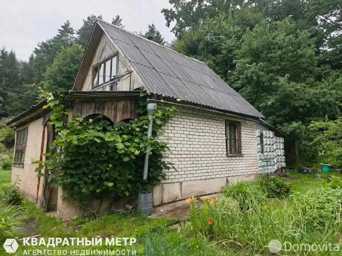 дача, Ель, 