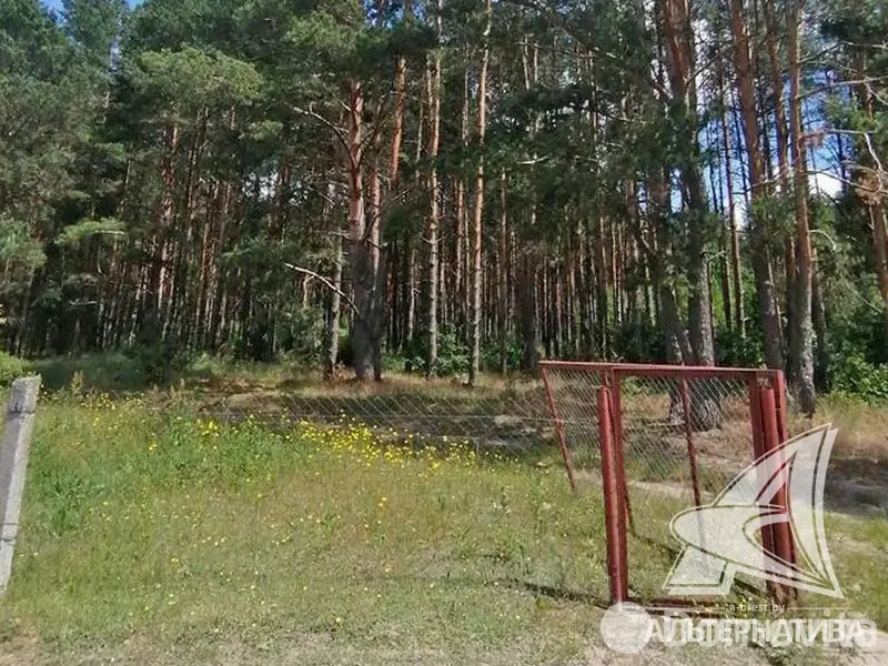 участок, Леснянка,