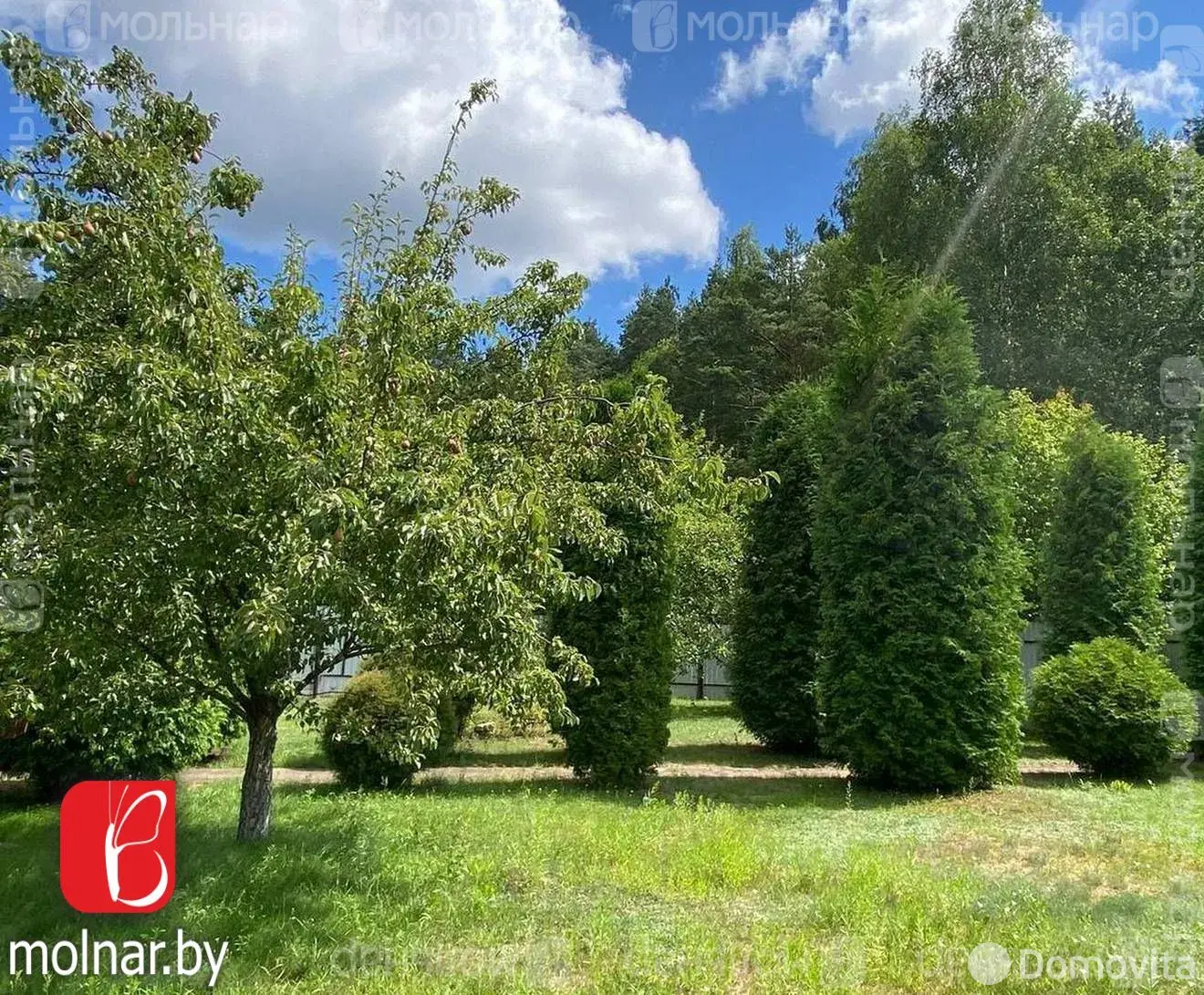 Продажа 2-этажной дачи в Сымончицы-1 Минская область, 35000USD, код 183881 - фото 21