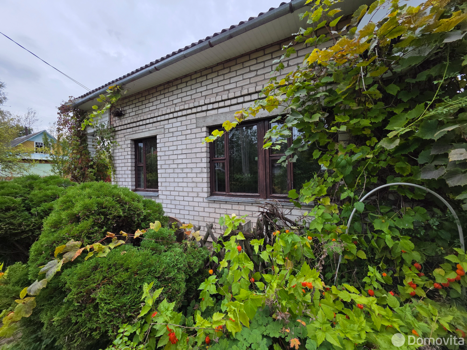 купить дачу, Микробиолог, 