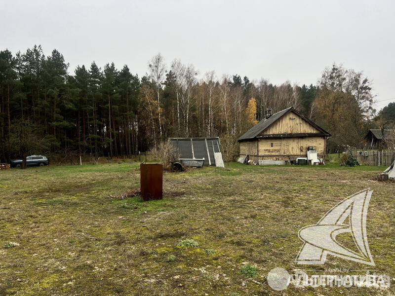 Купить земельный участок, 25 соток, Урожай ОАО Брестхлебопродукт, Брестская область, 57000USD, код 568765 - фото 4