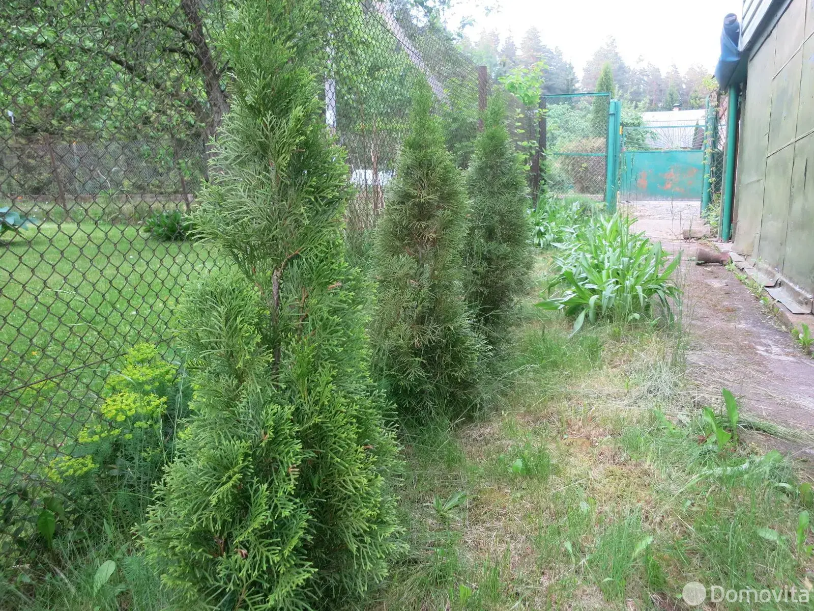 Продажа 2-этажной дачи в Искра Ракова Минская область, 12000USD, код 183113 - фото 30