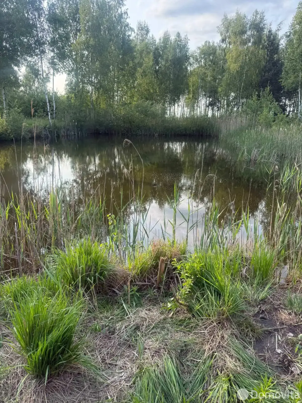 Купить земельный участок, 24.35 соток, Заречный-05, Минская область, 11000USD, код 567562 - фото 13