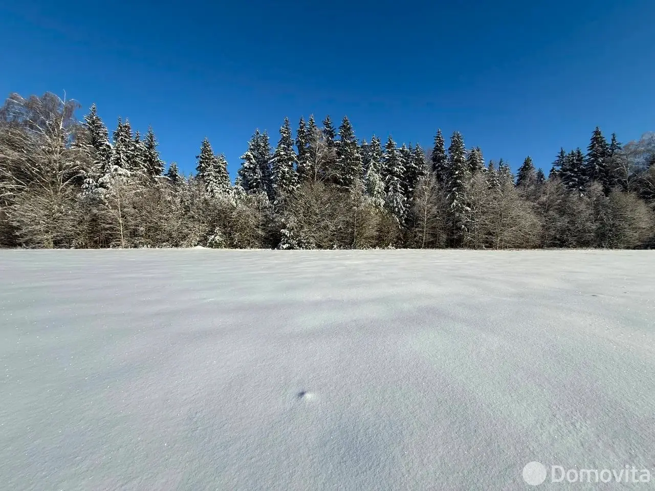 Купить земельный участок, 15 соток, Каралино, Минская область, 65000USD, код 571590 - фото 12