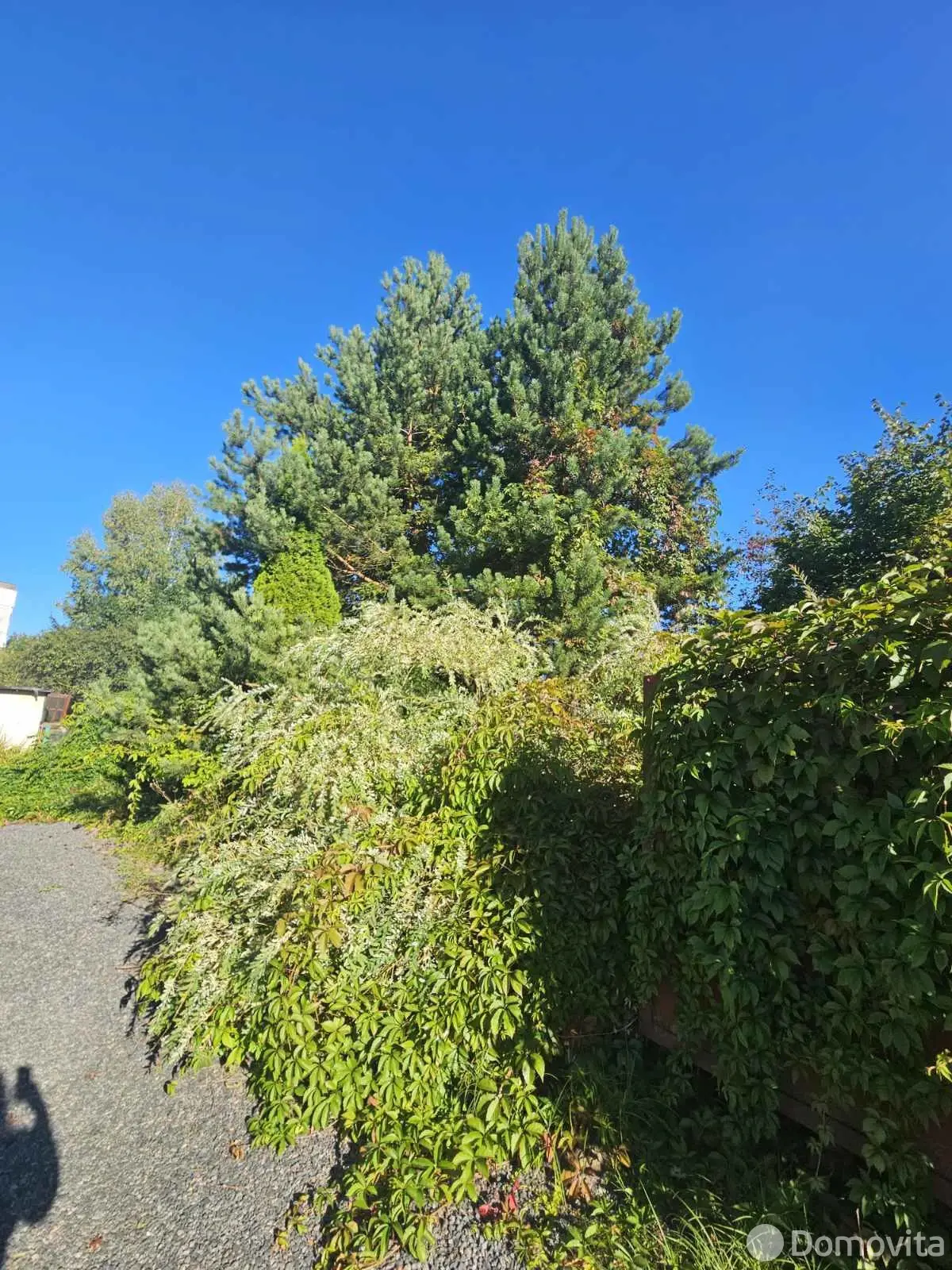 Цена продажи дома, Витебск, ул. Северная