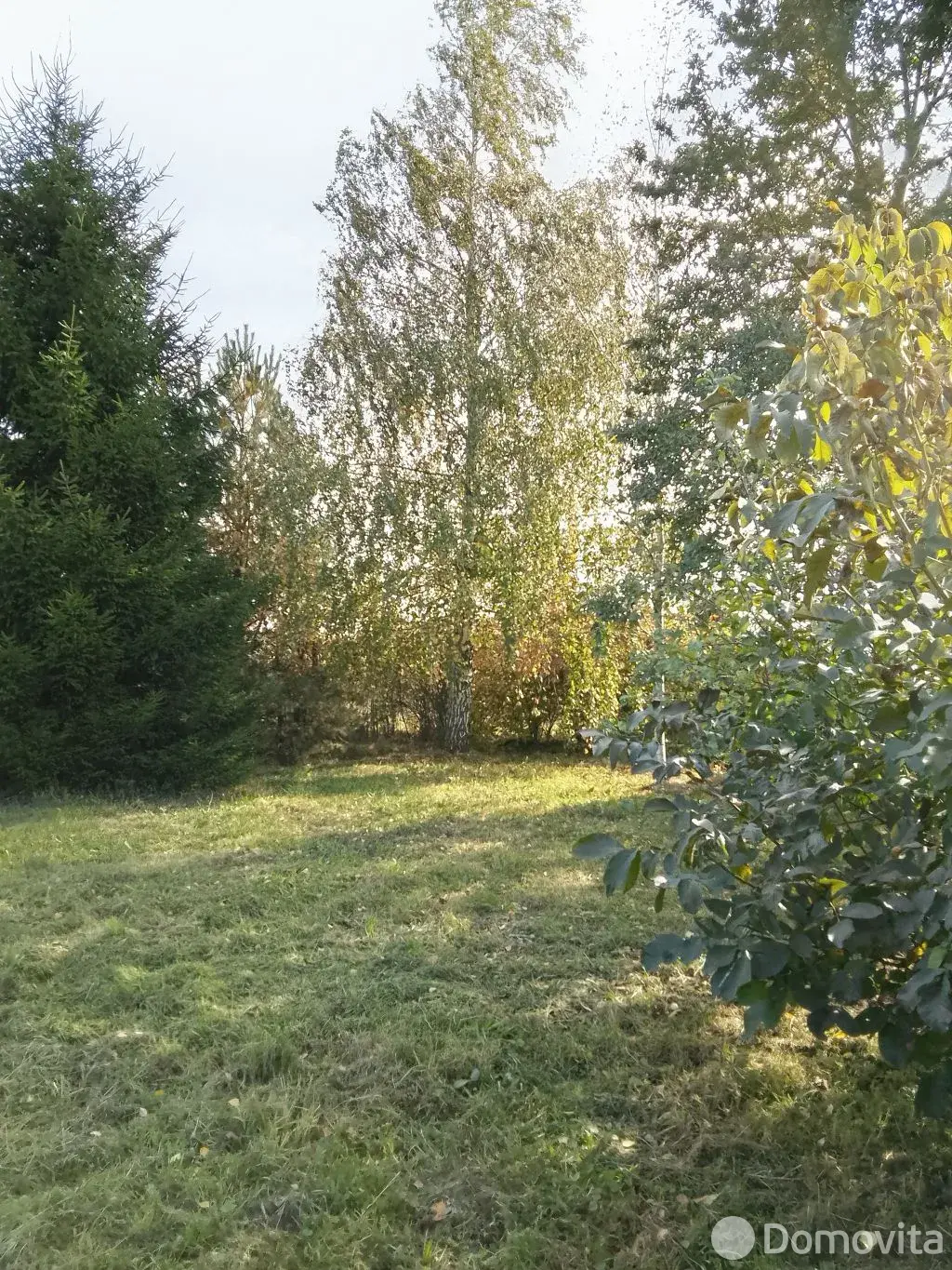 дом, Шищицы, ул. Старое Село от собственника