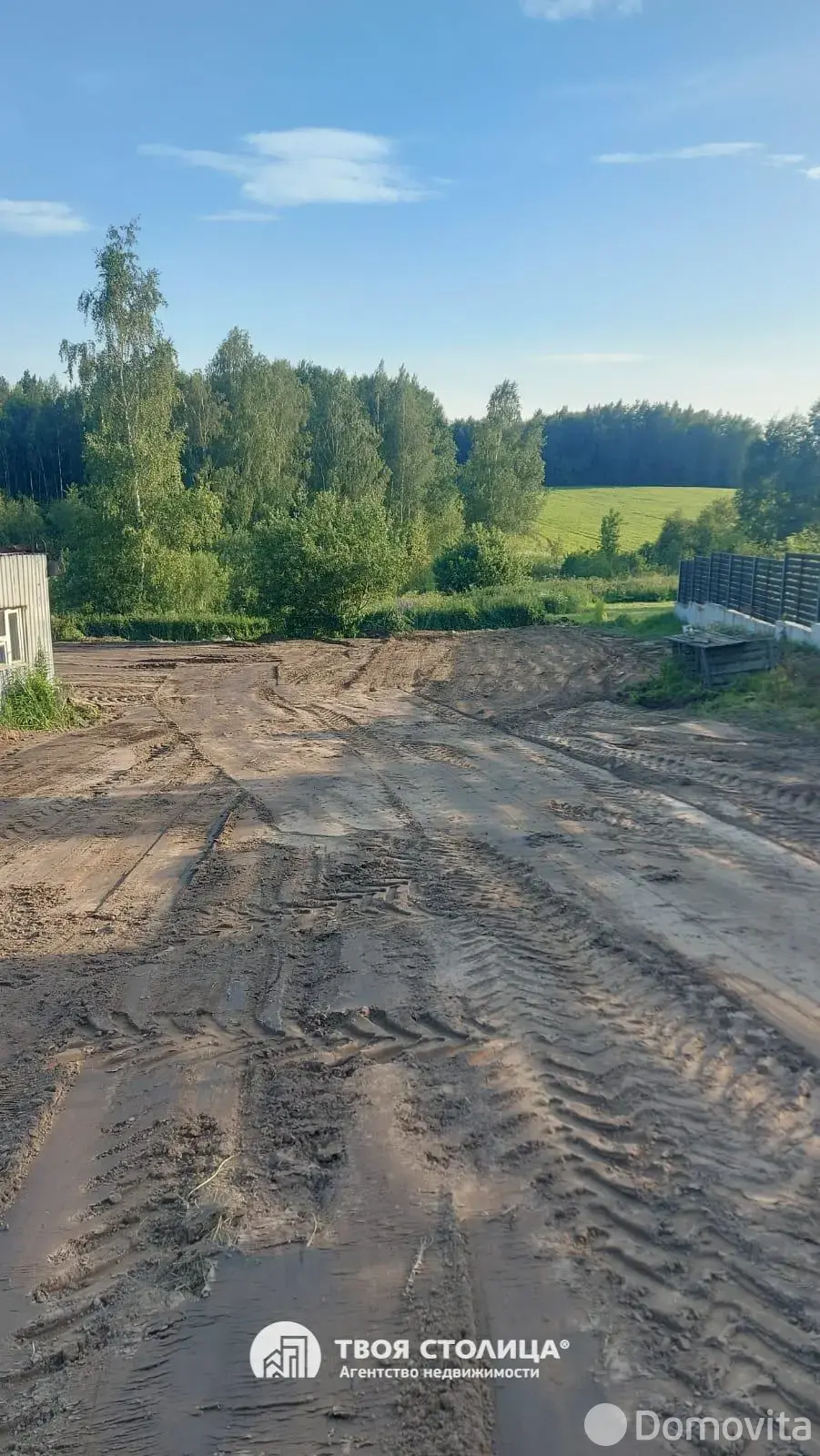 коттедж, Жуки, 