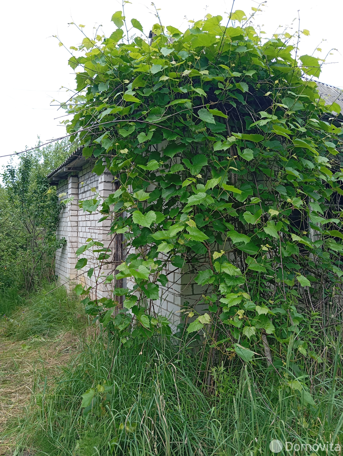 дача, Пуховичский сельский Совет, , стоимость продажи 800 р.