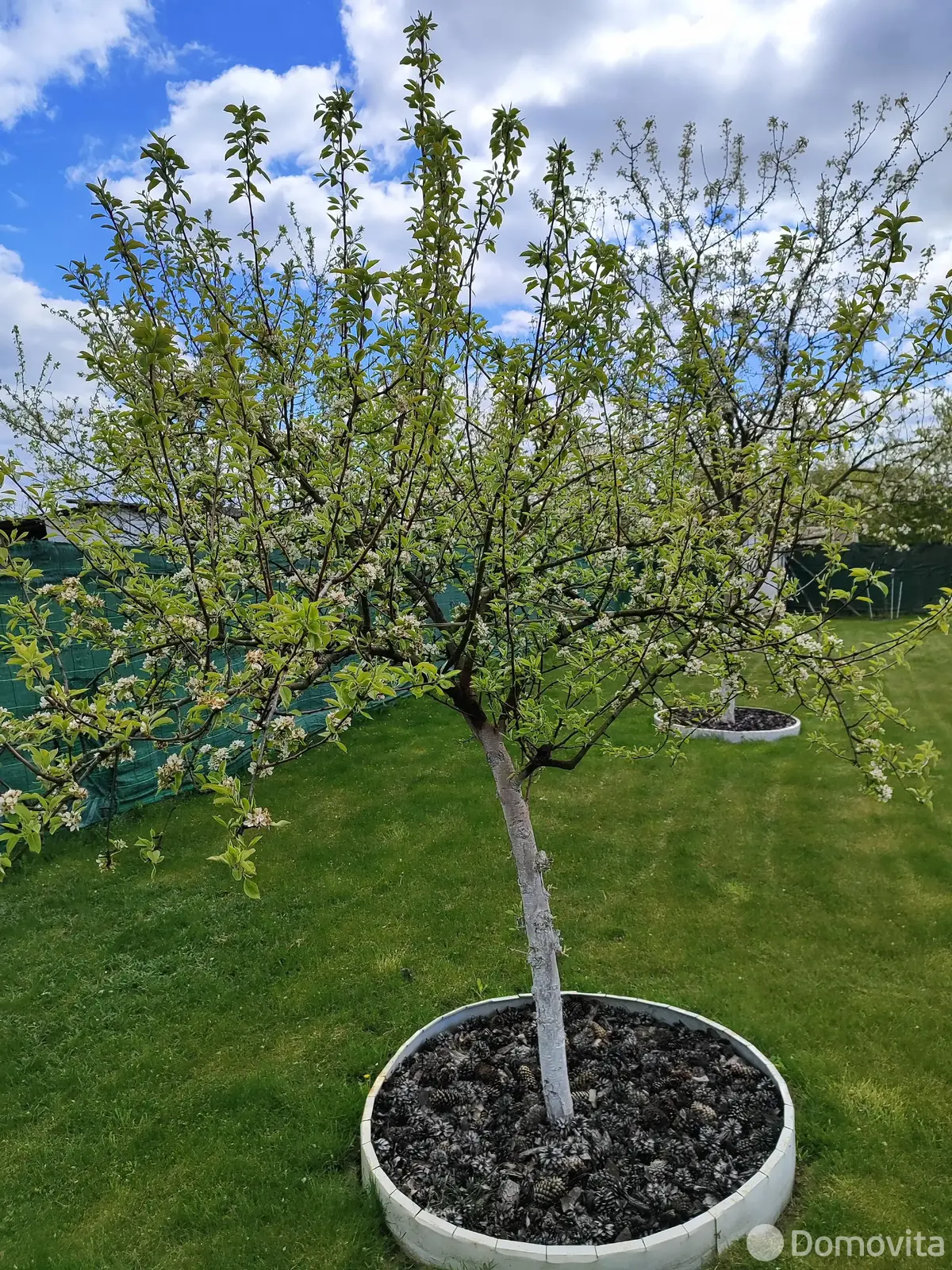 Купить 2-этажную дачу в Здоровье-95 Минская область, 44000USD, код 182593 - фото 29