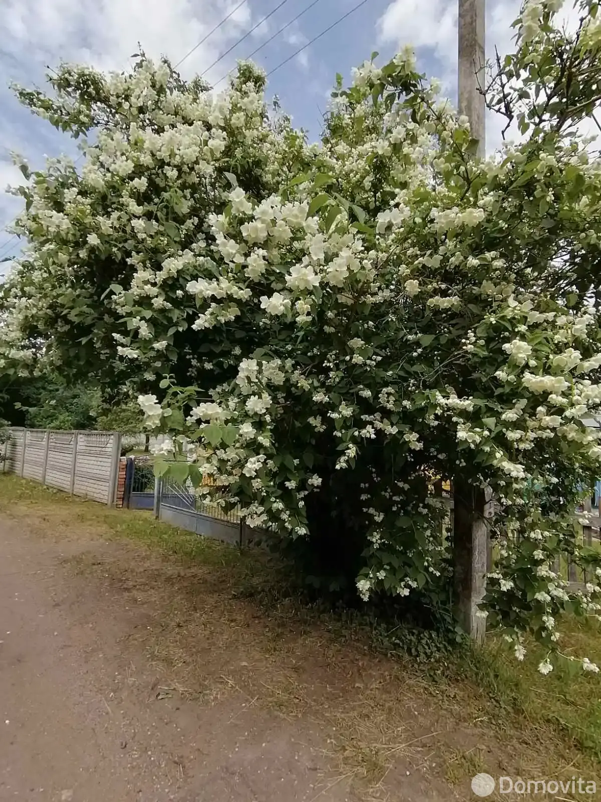 дом, Чановичи, , стоимость продажи 112 000 р.