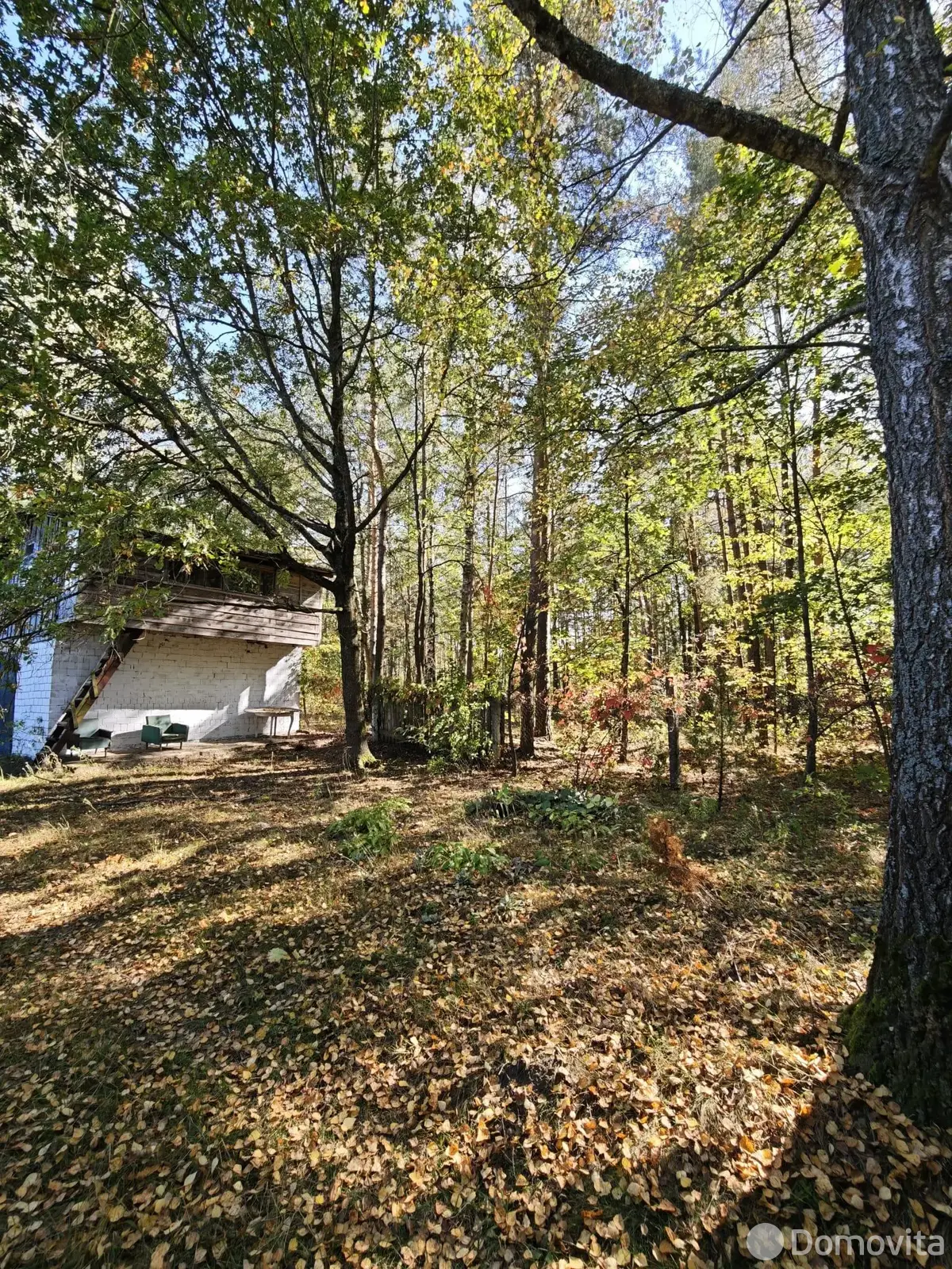 Купить 1-этажную дачу в Калинино Гомельская область, 19000USD, код 185669 - фото 18