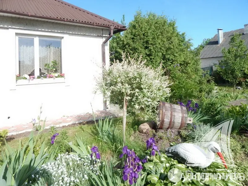 дом, Кобрин,