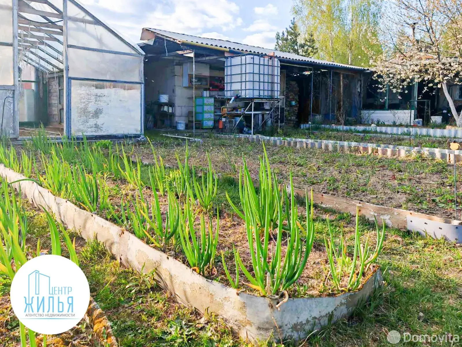 Купить 1-этажную дачу в Крушина Гродненская область, 17000USD, код 184247 - фото 14