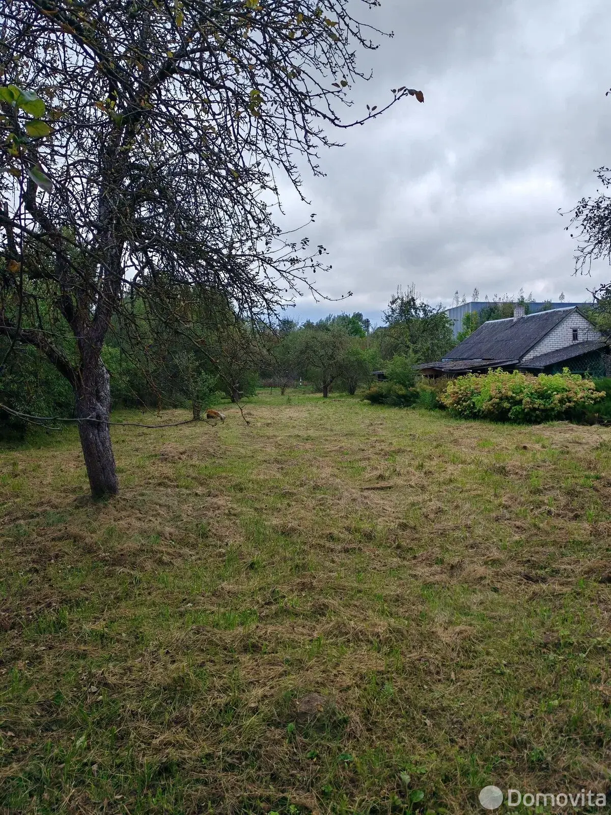 дом, Вязынь, ул. Луговая 