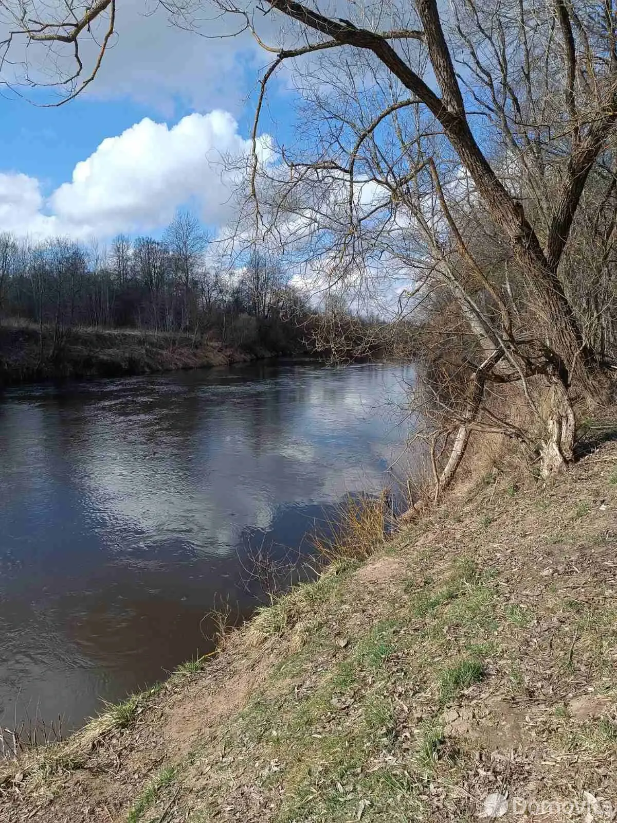 Купить 1-этажную дачу в Селютах Витебская область, 8200USD, код 184419 - фото 12