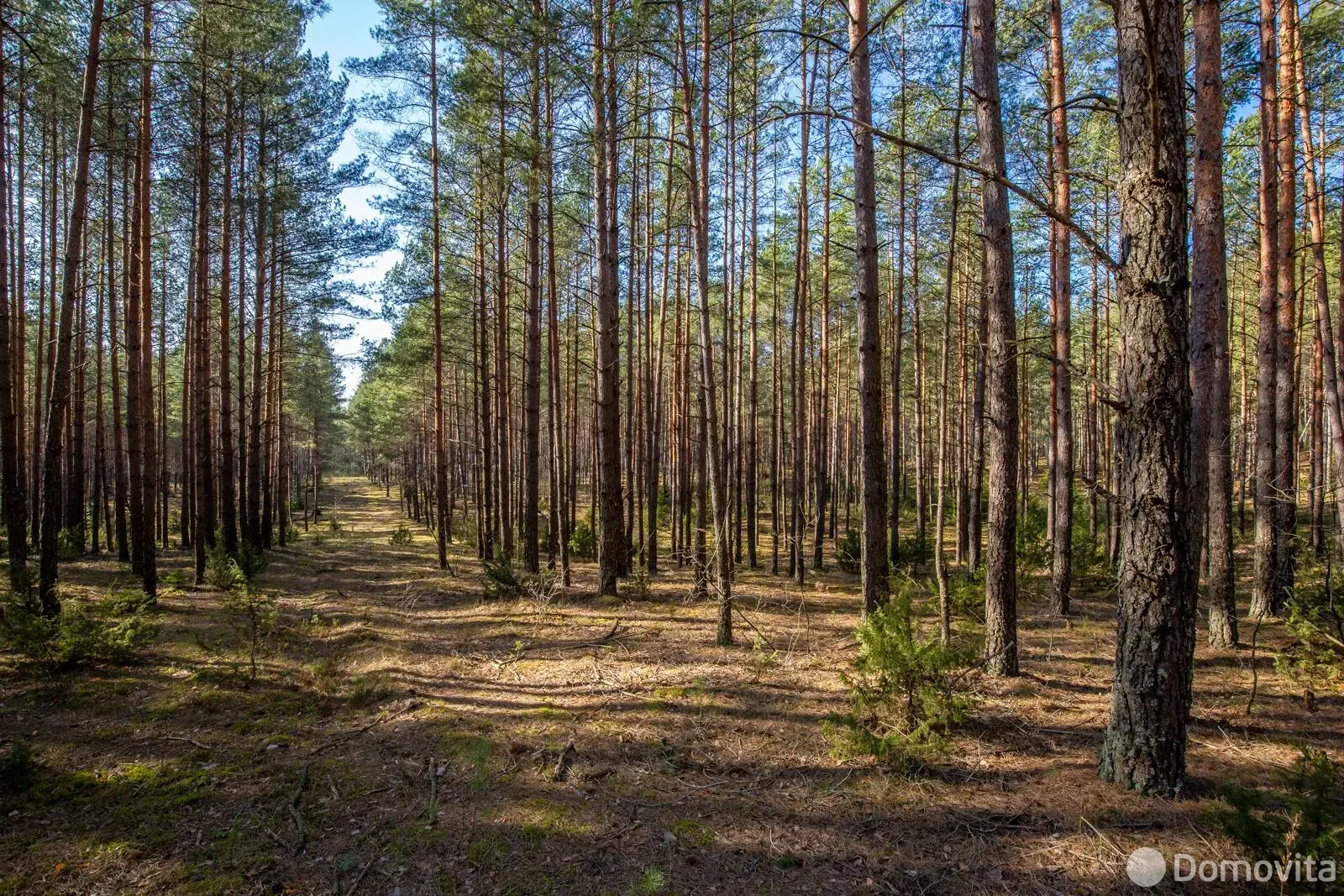 Продажа 2-этажной дачи в Силикат Минская область, 10500USD, код 182952 - фото 18