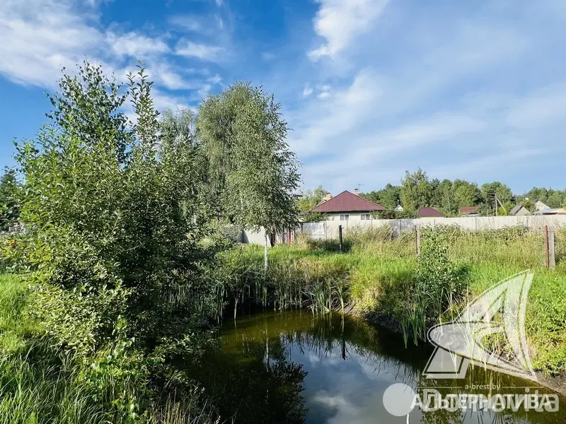 Купить земельный участок, 10.07 соток, Брест, Брестская область, 88550BYN, код 572407 - фото 18