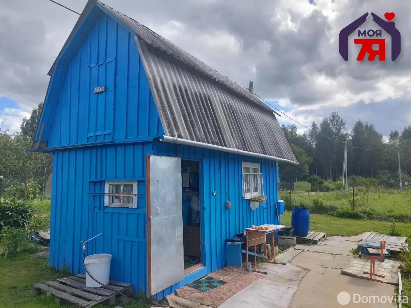 дача, Ромашка, 