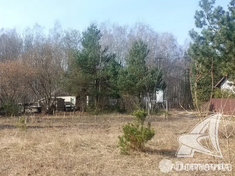 участок, Алеся-50, , стоимость продажи 41 016 р.