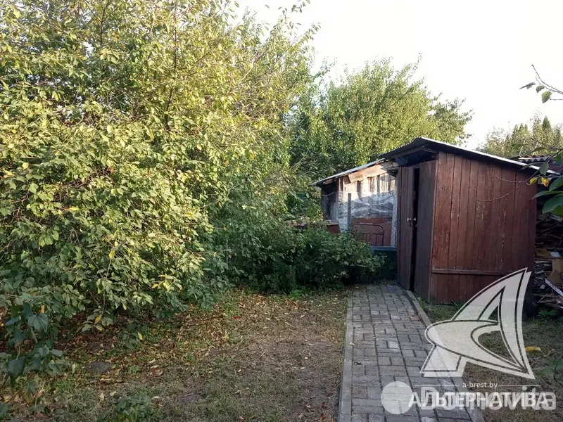 Продажа 2-этажной дачи в Строитель Брестская область, 24000USD, код 179850 - фото 25