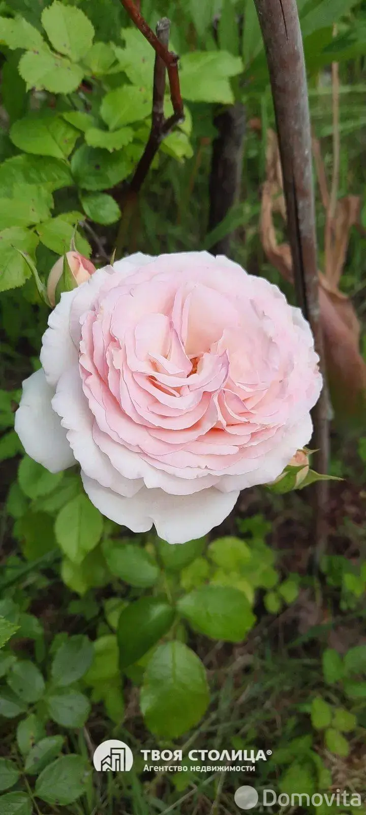 Продажа 1-этажной дачи в Золотой колосок Минская область, 15000USD, код 184931 - фото 16